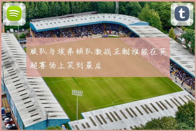 狼队与埃弗顿队激战正酣谁能在英超赛场上笑到最后