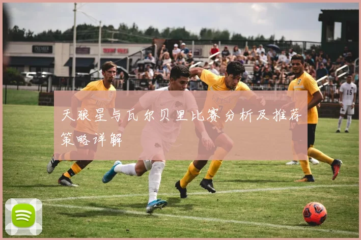 天狼星与瓦尔贝里比赛分析及推荐策略详解